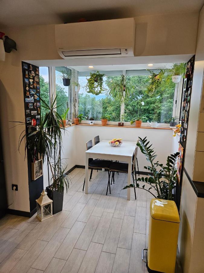 Apartman Carnevalus Fiume Esterno foto
